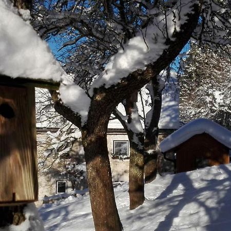 Ferienhaus Hirschnest Sankt Pankraz Экстерьер фото