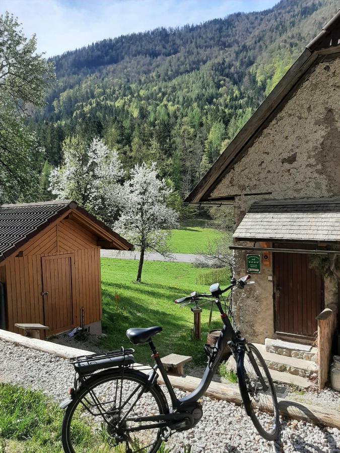 Ferienhaus Hirschnest Sankt Pankraz Экстерьер фото