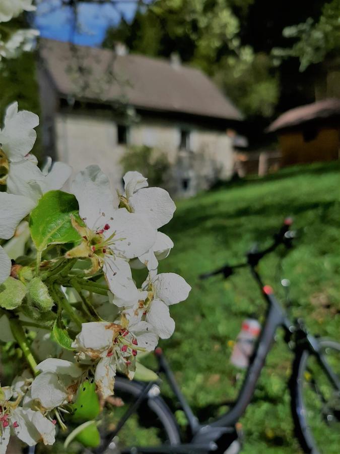 Ferienhaus Hirschnest Sankt Pankraz Экстерьер фото