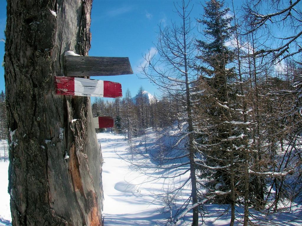 Ferienhaus Hirschnest Sankt Pankraz Экстерьер фото