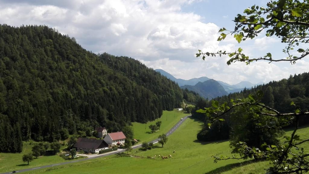 Ferienhaus Hirschnest Sankt Pankraz Экстерьер фото