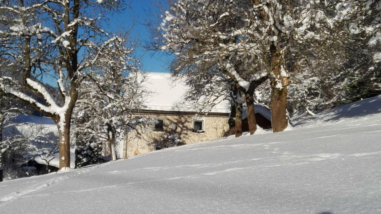 Ferienhaus Hirschnest Sankt Pankraz Экстерьер фото