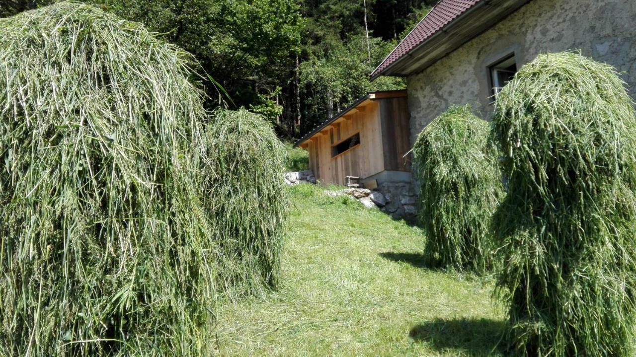 Ferienhaus Hirschnest Sankt Pankraz Экстерьер фото