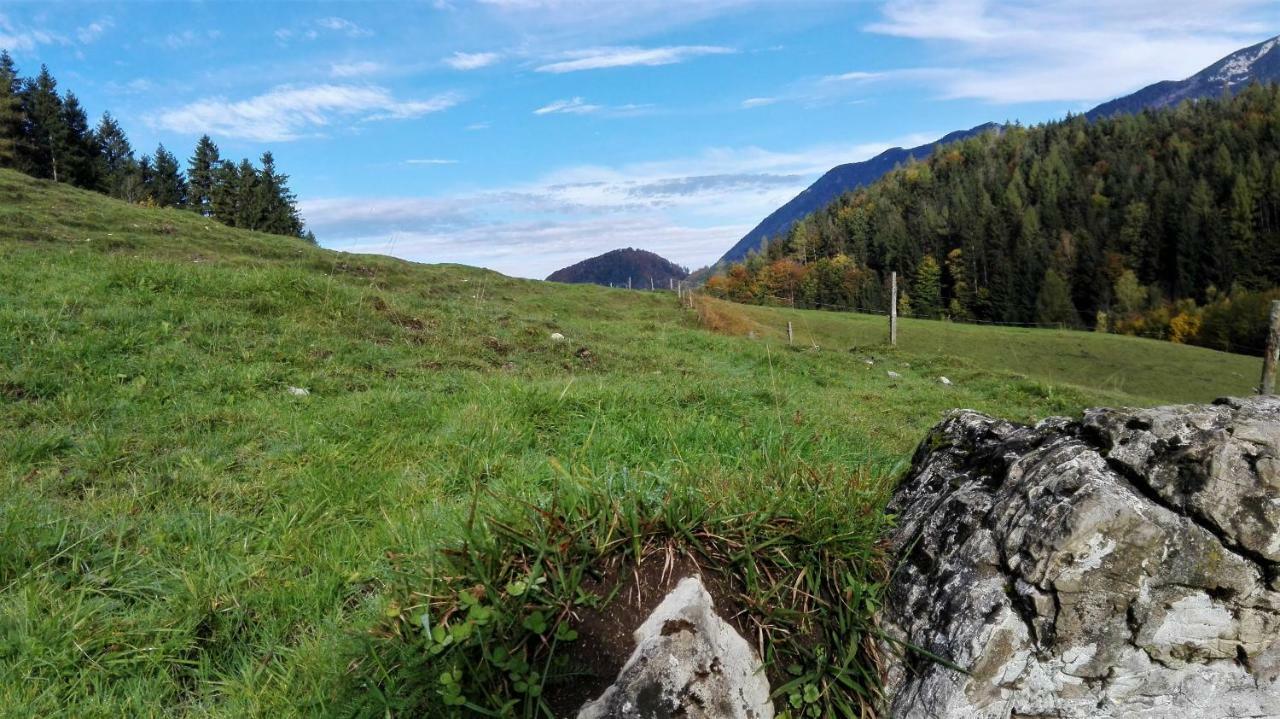 Ferienhaus Hirschnest Sankt Pankraz Экстерьер фото