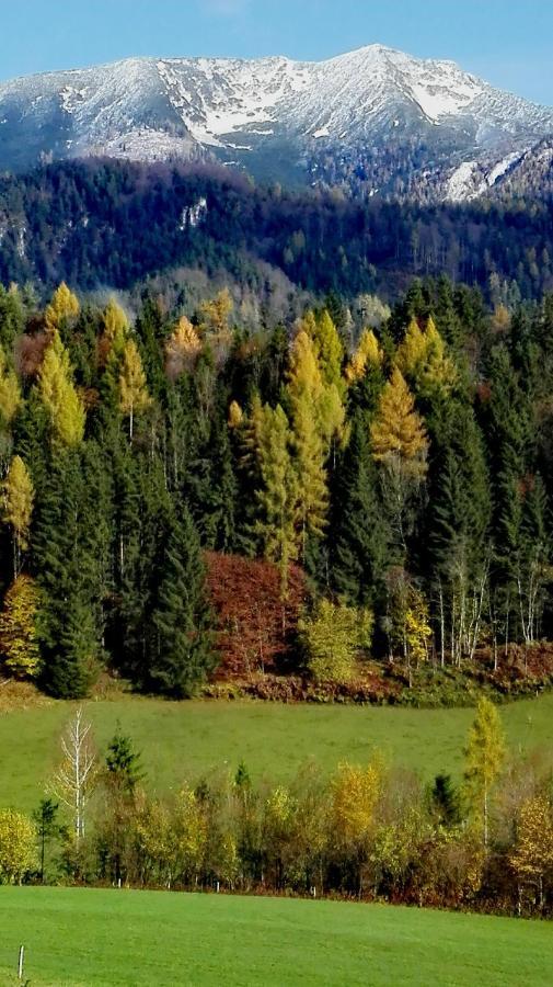 Ferienhaus Hirschnest Sankt Pankraz Экстерьер фото